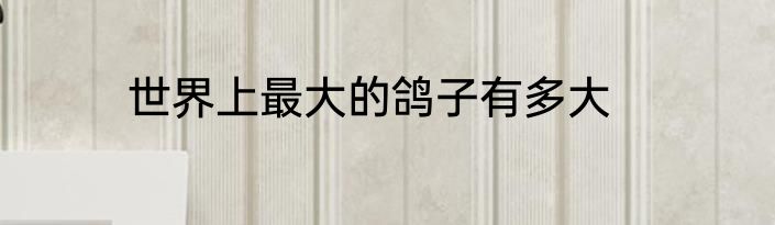 世界上最大的鸽子有多大