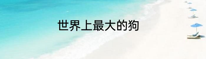 世界上最大的狗