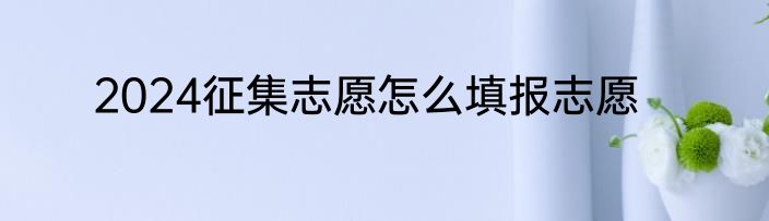 2024征集志愿怎么填报志愿