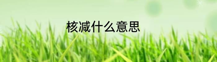 核减什么意思