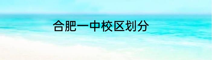 合肥一中校区划分