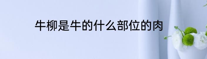 牛柳是牛的什么部位的肉