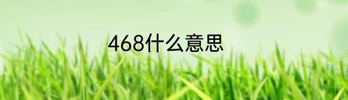 468什么意思