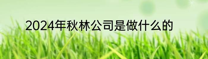 2024年秋林公司是做什么的
