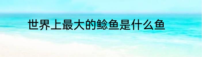 世界上最大的鲶鱼是什么鱼