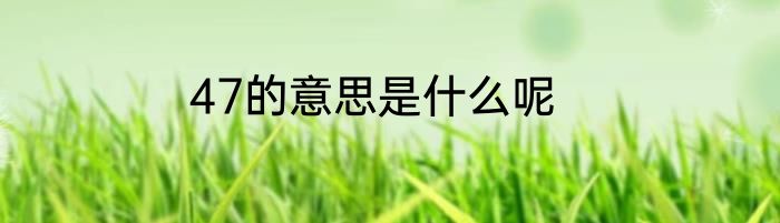 47的意思是什么呢