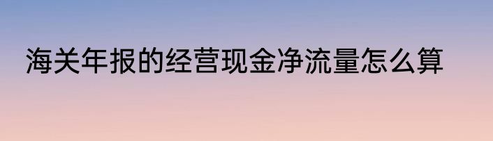 海关年报的经营现金净流量怎么算