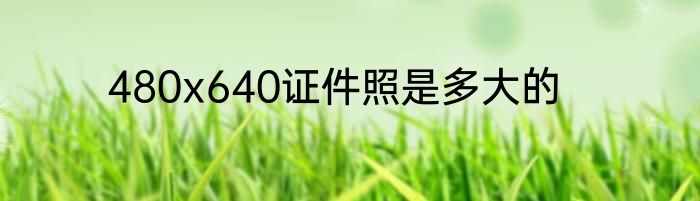480x640证件照是多大的