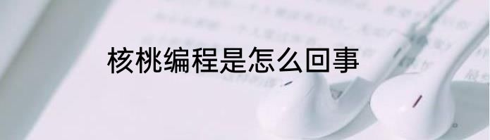 核桃编程是怎么回事