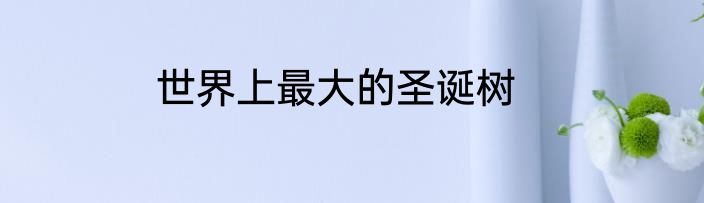 世界上最大的圣诞树