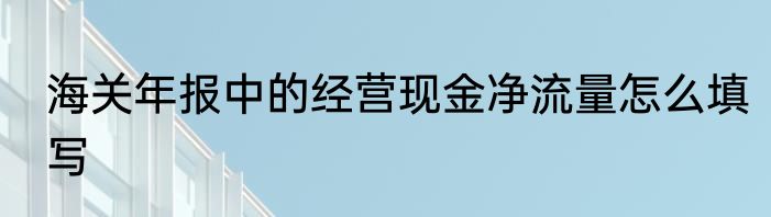海关年报中的经营现金净流量怎么填写