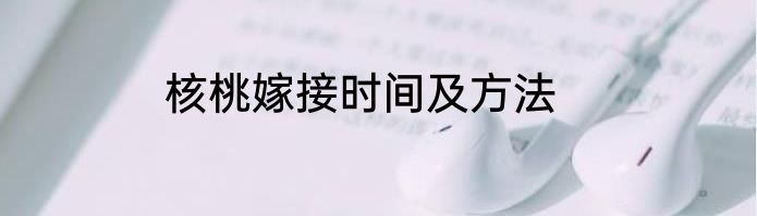 核桃嫁接时间及方法