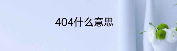 404什么意思