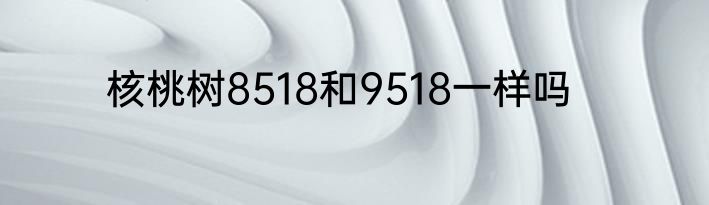 核桃树8518和9518一样吗