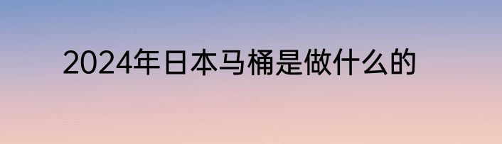 2024年日本马桶是做什么的