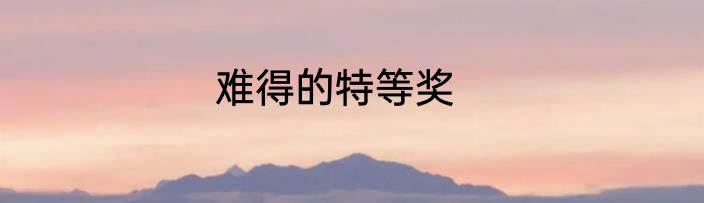 难得的特等奖