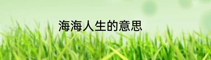 海海人生的意思