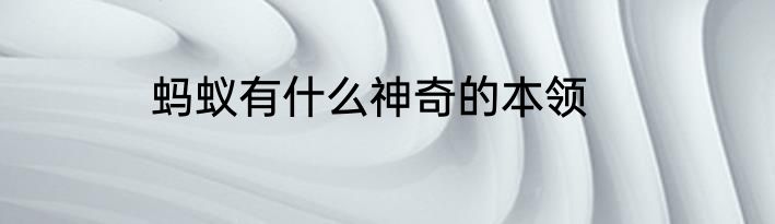 蚂蚁有什么神奇的本领