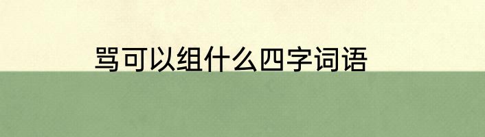 骂可以组什么四字词语