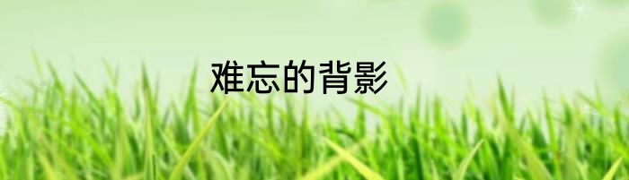 难忘的背影