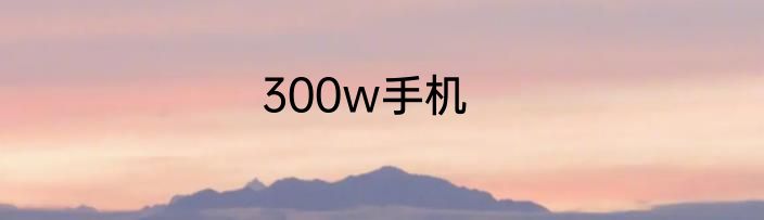 300w手机