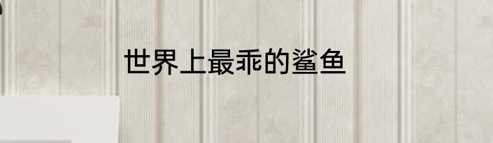 世界上最乖的鲨鱼