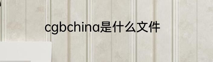 cgbchina是什么文件