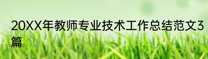 20XX年教师专业技术工作总结范文3篇