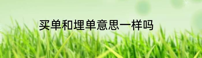 买单和埋单意思一样吗