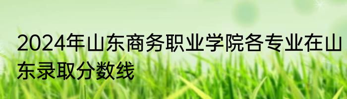 2024年山东商务职业学院各专业在山东录取分数线