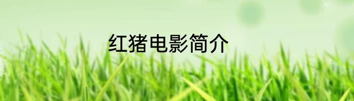 红猪电影简介
