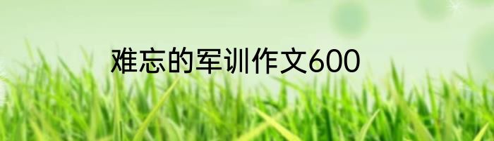 难忘的军训作文600