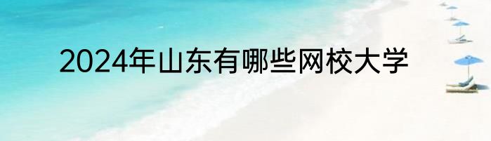 2024年山东有哪些网校大学