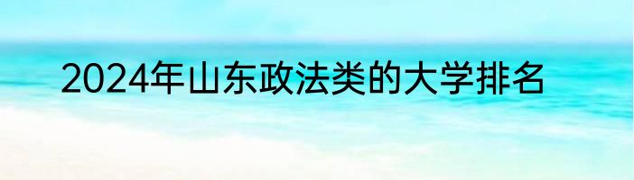 2024年山东政法类的大学排名