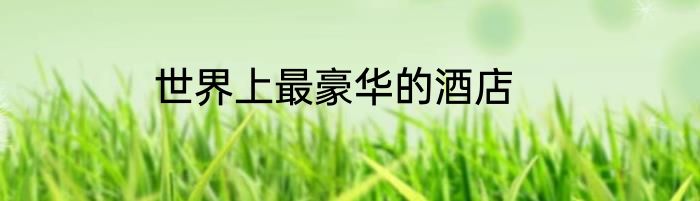 世界上最豪华的酒店