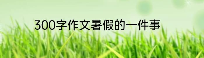 300字作文暑假的一件事