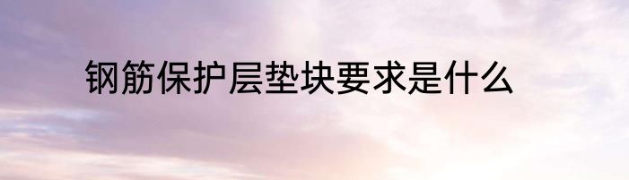 钢筋保护层垫块要求是什么