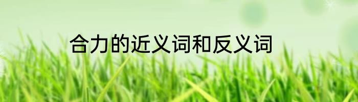 合力的近义词和反义词