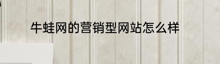 牛蛙网的营销型网站怎么样