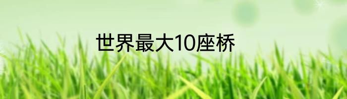 世界最大10座桥