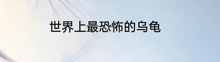 世界上最恐怖的乌龟