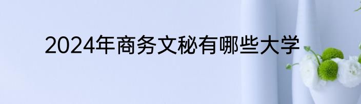 2024年商务文秘有哪些大学