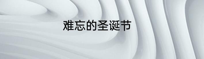 难忘的圣诞节