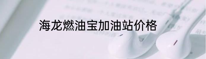 海龙燃油宝加油站价格