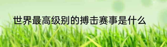 世界最高级别的搏击赛事是什么
