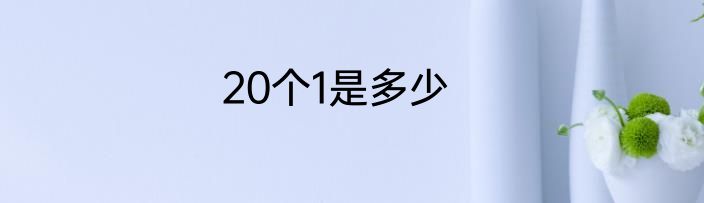 20个1是多少