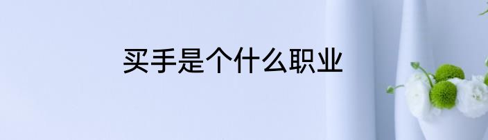 买手是个什么职业