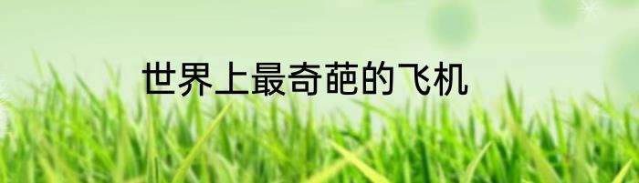 世界上最奇葩的飞机