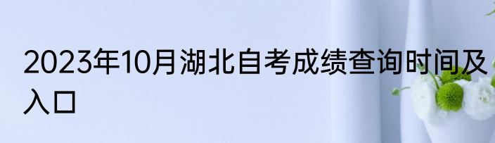 2023年10月湖北自考成绩查询时间及入口