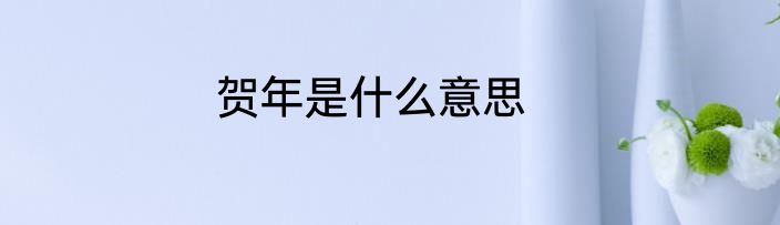 贺年是什么意思